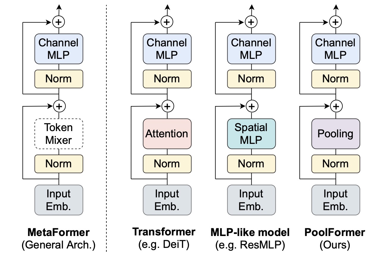 neural architecture